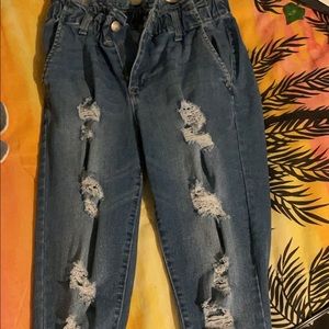 Blue Spice Jeans